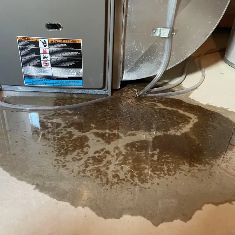 Appliance Leak Cleanup in Braham, MN